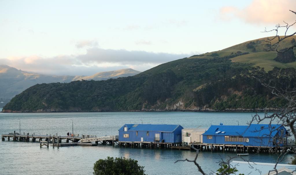 Oinako Bed & Breakfast Akaroa Exterior foto